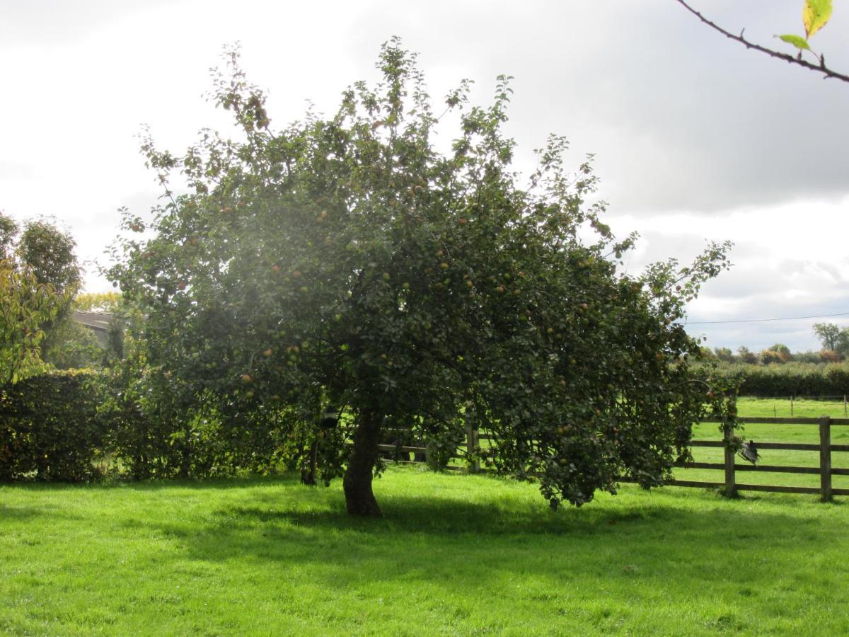 Weston Hill Farm Bed & Breakfast Moreton Pinkney Bagian luar foto